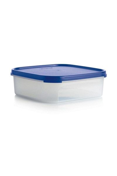 Tupperware Oval Modular Storage Container 1.2 lt