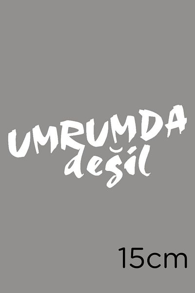 MIGNATIS Autocolant alb pentru mașină și perete de 15 cm - Scriere I Don't Care