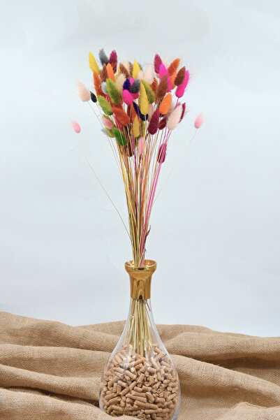 Dekora Çiçek Ierburi uscate de bumbac, culoarea coadă de iepure - 80 de ramuri