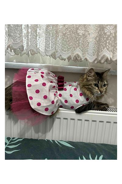 Gobo Fuchsia Bow Polka Dot Cat Dog Outfit Dress