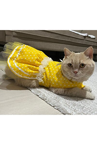 Gobo فستان ملابس للقطط والكلاب بشريط أصفر منقط XSmall/XS/Size 0