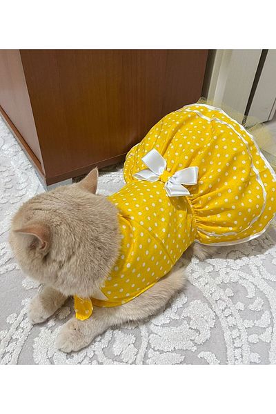 Gobo Yellow Polka Dot Bow Tie Cat Dog Outfit Dress