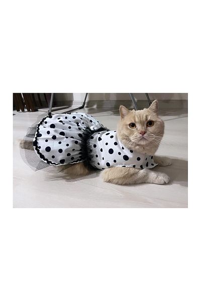Gobo Black Polka Dot White Female Cat Dog Outfit Dress
