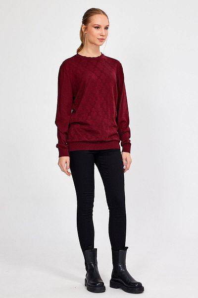 ALEXANDERGARDI JACQUARD SALAŞ Tricotaj PULLOVER (E21-5114)