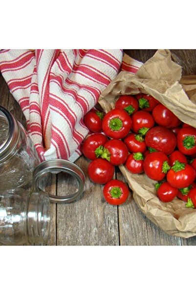 ZENGARDEN EV VE BAHÇE Turşuluk biber tohumu tatlı top biberiye