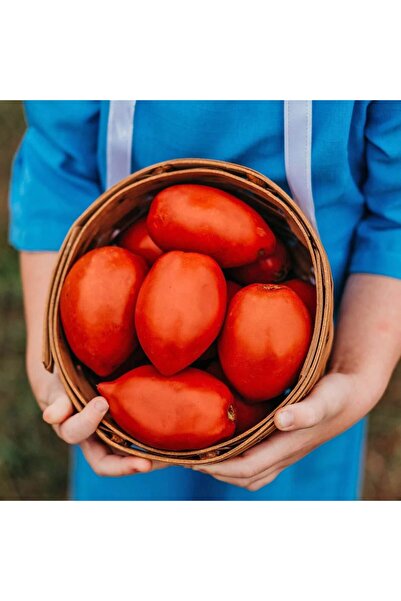 ZENGARDEN EV VE BAHÇE Salçalık domates tohumu geleneksel amish paste tomato