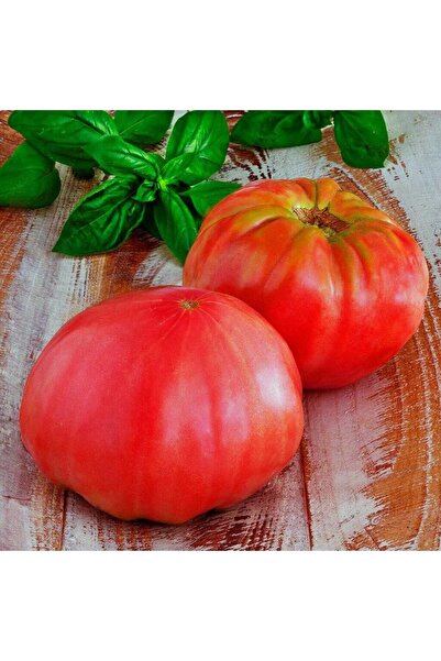 ZENGARDEN EV VE BAHÇE Brandywine domates tohumu geleneksel heirloom brandywin...