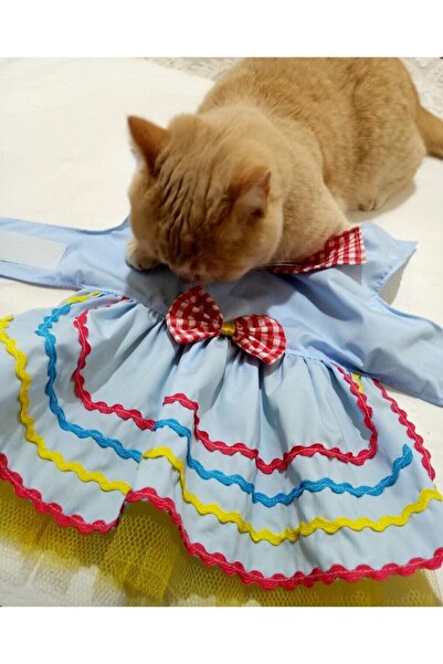 Gobo Rengarenk Festival Temalı Renkli Papyonlu Tüllü Kedi Köpek Kıyafeti Elbisesi