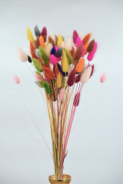 Dekora Çiçek Kurutulmuş Pamuk Otu Tavşan Kuyruğu Renk Şöleni - 80 Dal