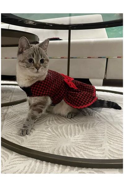 Gobo Red Black Checkered Female Cat Dog Outfit Dress with Bow Tie