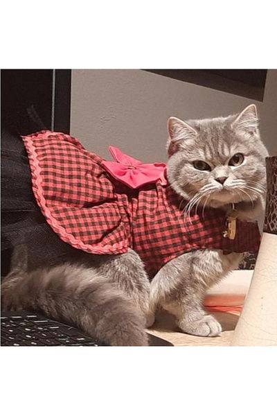 Gobo Red Black Checkered Female Cat Dog Outfit Dress with Bow Tie