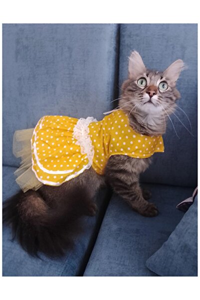 Gobo فستان كلب قطة بشريط أصفر منقط مقاس كبير/لتر/مقاس 3