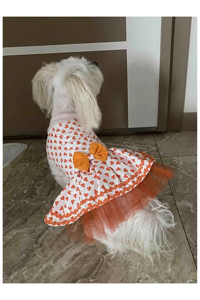 Gobo White Cat Dog Outfit Dress with Orange Leaf Pattern Bow Tie