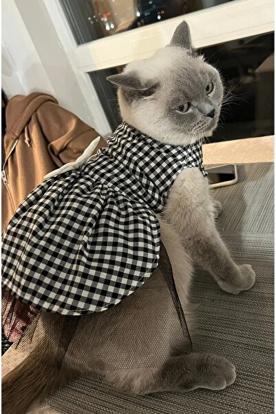 Gobo Beyaz Siyah Kareli Dişi Kedi Köpek Kıyafeti Elbisesi Small/s/beden 1