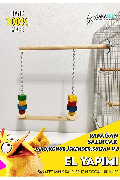 SAKAPET Parrot Jako Alexander V.b - Suitable for Species