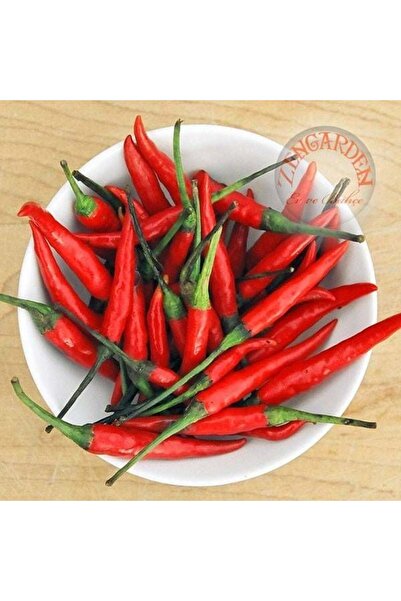 ZENGARDEN EV VE BAHÇE Kuş gözü acı biber tohumu çok yıllık