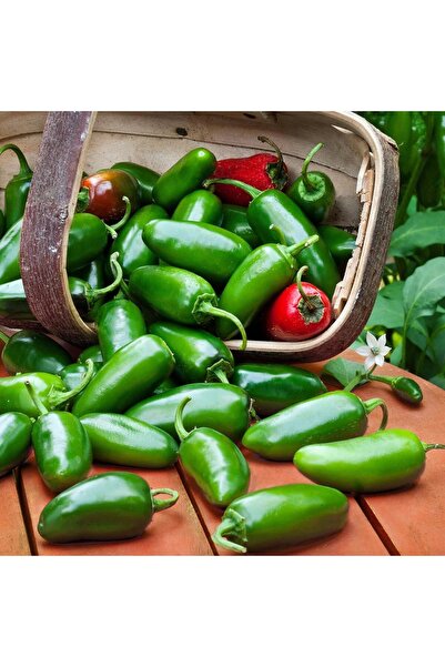 ZENGARDEN EV VE BAHÇE Tatlı jalapeno biberi tohumu jalapeno sweet