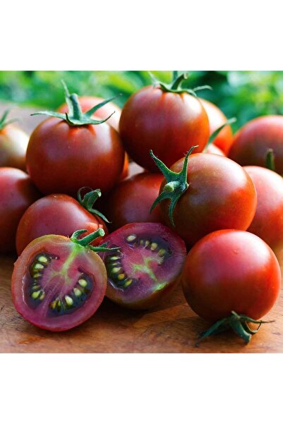 ZENGARDEN EV VE BAHÇE Çikolata saksılık domates tohumu mini çeri tip