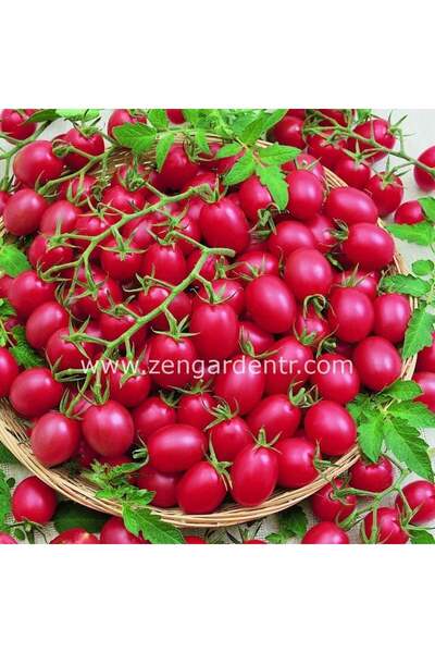 ZENGARDEN EV VE BAHÇE Pembe üzüm domates tohumu pink grape geleneksel