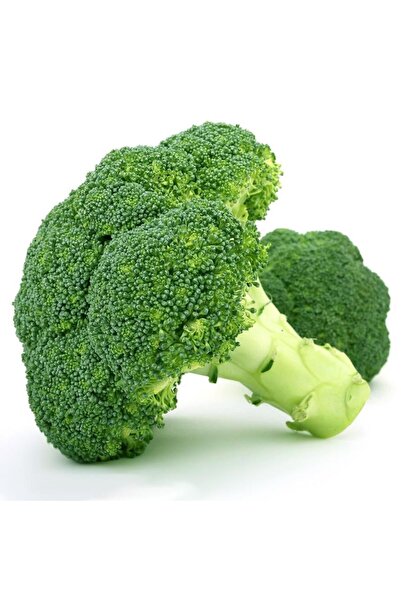 ZENGARDEN EV VE BAHÇE İtalyan broccoli calabrese erkenci brokoli tohumu