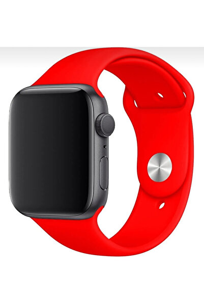RG Teknoloji Apple Watch Series 1 2 3 4 5 6 7 Se 8 Compatible Band 38mm/40mm/41mm Gel Silicone Sport Strap