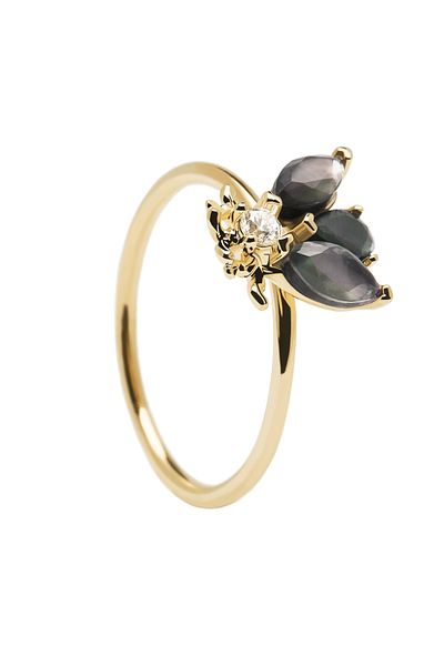 PDPAOLA Ring-Ring