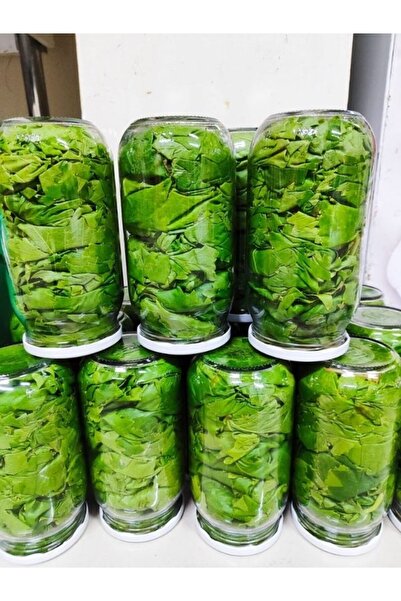 Lezzet-i Bahçemden 1000 cc kavanozda kuru basım yaprak