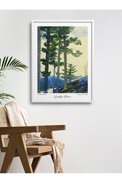 HOMEPACK Pictură unică înrămată Pictură poster modernă TK/190