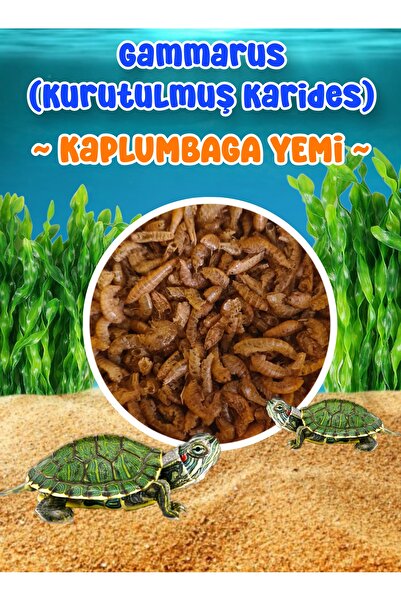 MDİZMİR Kaplumbağa Yemi Gammarus ( Kurutulmuş Karides ) Kaplumbaga ve Sürüngen Türleri için Yem