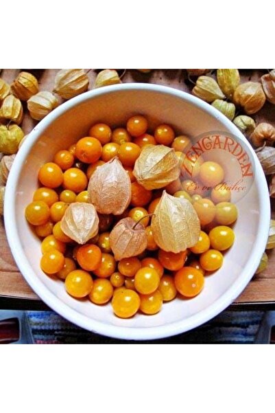 ZENGARDEN EV VE BAHÇE Altın çilek tohumu golden gooseberry