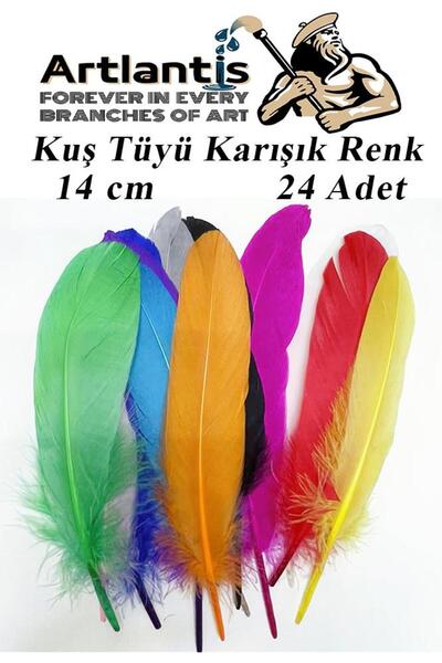 Artlantis Kuş Tüyü Renkli 24 Lü 1 Paket 14 cm Tüy Karışık Renk Hobi Okul Önce...