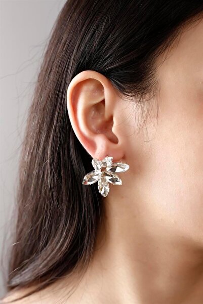 HUBANN Stylish Gümüş Renk Oval Taşlı Kadın Küpe Renkli Taşlı Küpe Gümüş Kaplama Küpe Şık Tasarım Küpeler