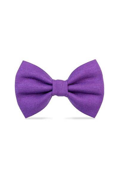 Lusi Doog Purple Dog Bow Tie