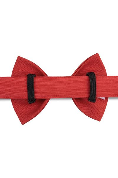 Lusi Doog Red Dog Bow Tie (SIZE 3) - Bow Tie Only, Leash Not Included