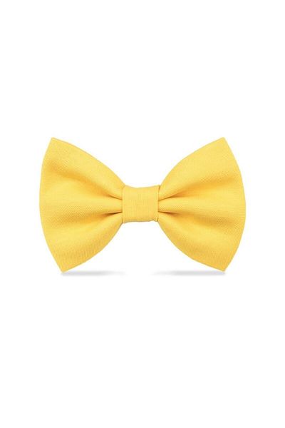 Lusi Doog Special Dog Bow Tie for Female Dogs - Yellow