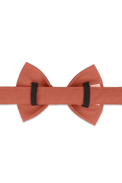 Lusi Doog Orange Dog Bow Tie (SIZE 3) - Bow Tie Only, Leash Not Included
