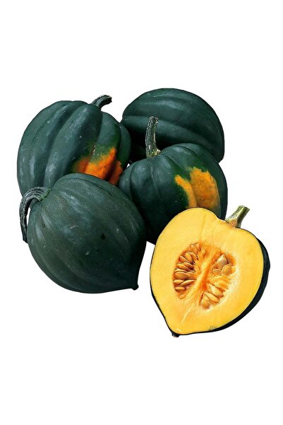 ZENGARDEN EV VE BAHÇE Table King acorn kış kabağı tohumu Atalık tohum
