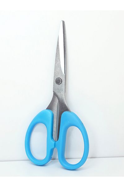 Rüveyda Small Sharp Blue Scissors