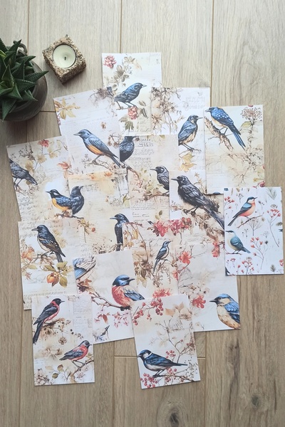 Mona Craftist 15 Adet Eskitme Vintage Kuş Temalı Scrapbook Kağıt Seti Bullet ...