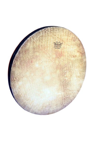Afshari Professional Erbane / Yrad-404