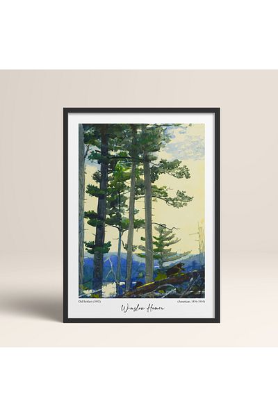 HOMEPACK Pictură unică înrămată Pictură poster modernă TK/190