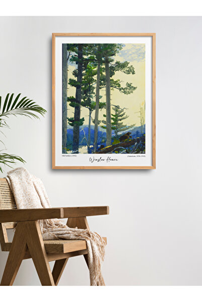 HOMEPACK Çerçeveli Tekli Tablo Modern Poster Tablo TK/190