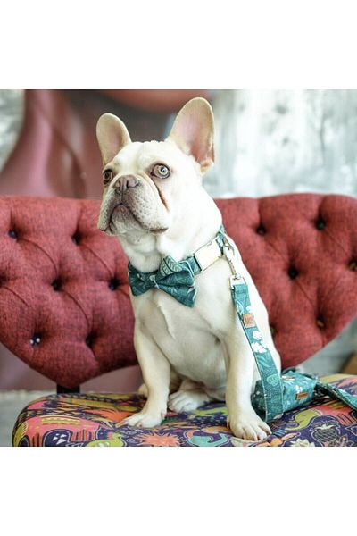 Lusi Doog Forest Themed Dog Bow Tie (SIZE 3)