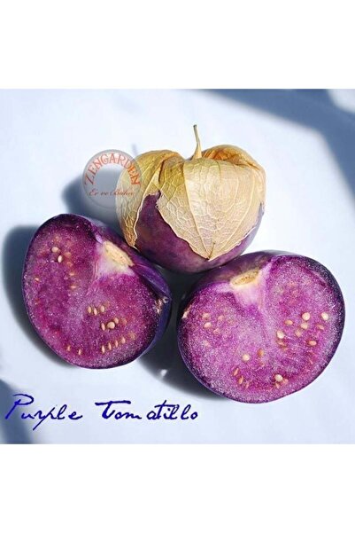 ZENGARDEN EV VE BAHÇE Mor altın çilek tohumu tomatillo physalis ixocarpa