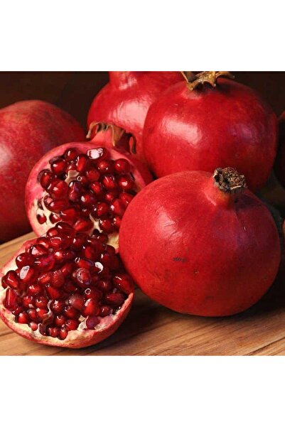 ASES Tüplü Içi Dışı Kırmızı 1 Yaş Hicaz Narı ( 4 Adet) 60-80 Cm