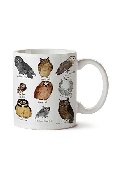 ART HEDİYE كوب مطبوع على الجانبين من Types of Owl Owls
