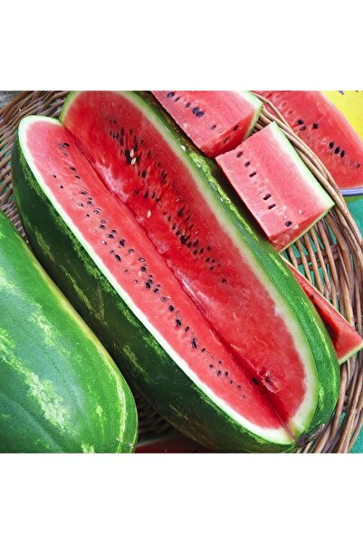 ZENGARDEN EV VE BAHÇE Jübile karpuz tohumu geleneksel jubilee watermelon seeds