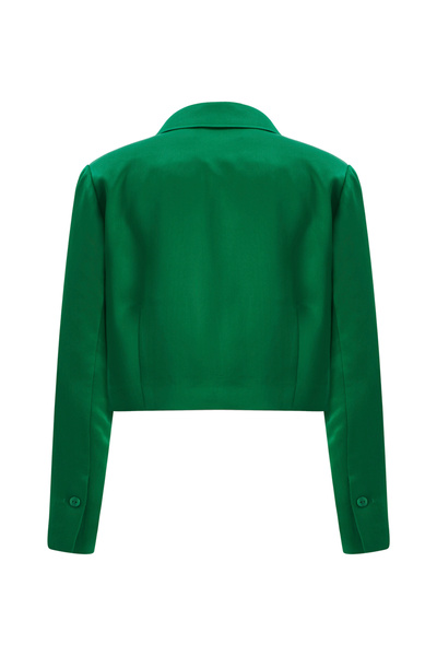 Perspective Caprinas Regular Fit Men's Lapel Short Length Green Color Women's Jacket