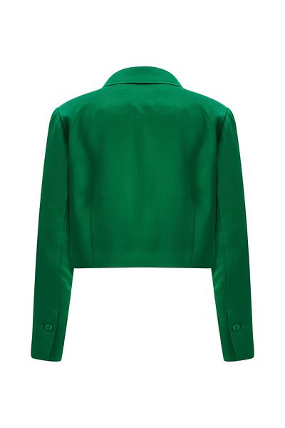 Perspective Caprinas Regular Fit Men's Lapel Short Length Green Color Women's Jacket