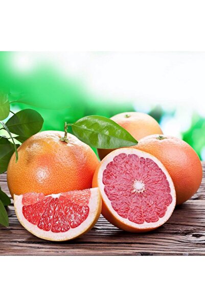 ASES Tüplü Aşılı Star Ruby Içi Dışı Kırmızı Greyfurt Fidanı Yaş 2 Boy 90-110 Cm Soğuklara Dayanıklı